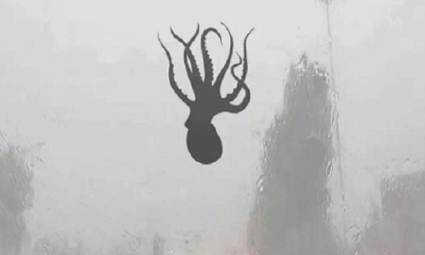 Sau đó, cơn lốc xoáy này "ném" những động vật bị hút lên đến một khu vực cách xa hơn khi nó ngừng hoạt động. Mặc dù nghe có vẻ hợp lý, nhưng suy đoán này không được hỗ trợ bởi dữ liệu quan sát thực tế, cũng như không thể giải thích tất cả các sự kiện mưa động vật.