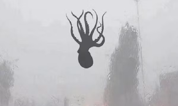 Sau đó, cơn lốc xoáy này "ném" những động vật bị hút lên đến một khu vực cách xa hơn khi nó ngừng hoạt động. Mặc dù nghe có vẻ hợp lý, nhưng suy đoán này không được hỗ trợ bởi dữ liệu quan sát thực tế, cũng như không thể giải thích tất cả các sự kiện mưa động vật.