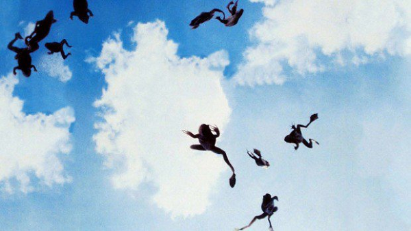 Mưa động vật còn được hình thành bởi một số sinh vật bay như chim, có thể do các vấn đề về môi trường hoặc do thời tiết xấu, con người bắn pháo hoa và tiếng ồn đô thị, hay khí độc cũng có thể dẫn đến các vấn đề như mất phương hướng, tử vong do va phải cây khi bay, hoặc chóng mặt và ngã xuống đất đồng loạt.