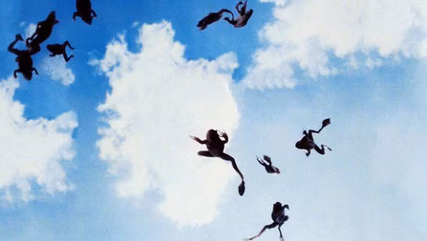 Mưa động vật còn được hình thành bởi một số sinh vật bay như chim, có thể do các vấn đề về môi trường hoặc do thời tiết xấu, con người bắn pháo hoa và tiếng ồn đô thị, hay khí độc cũng có thể dẫn đến các vấn đề như mất phương hướng, tử vong do va phải cây khi bay, hoặc chóng mặt và ngã xuống đất đồng loạt.