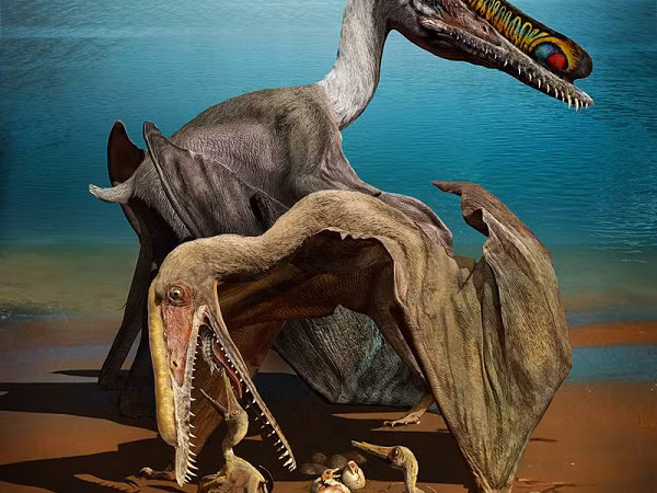 Cho đến hiện nay, nhiều nhà cổ sinh vật học vẫn không xếp Pterosaur vào cùng nhóm với chim vì khả năng bay của chúng. Chúng thuộc nhóm bò sát, do đó các nhà khoa học cho rằng chúng là loài máu lạnh như rắn hay thằn lằn hiện nay.