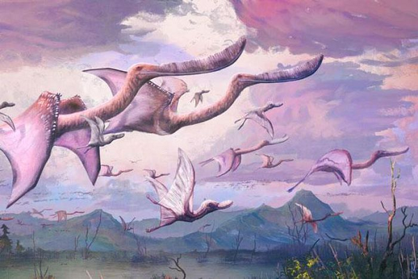 Pterosaur là loài sinh vật có sự tiến hóa cực kỳ thành công. Chúng hiện diện ở kỷ Tam điệp (cách đây 215 triệu năm), và tồn tại trong suốt 150 triệu năm trước khi bị tuyệt chủng vào cuối kỷ Phấn trắng.