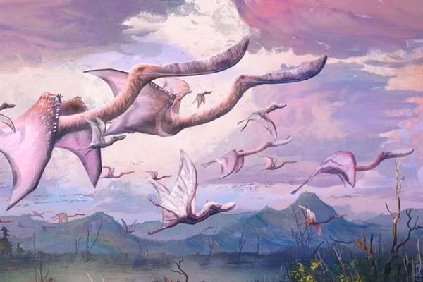 Pterosaur là loài sinh vật có sự tiến hóa cực kỳ thành công. Chúng hiện diện ở kỷ Tam điệp (cách đây 215 triệu năm), và tồn tại trong suốt 150 triệu năm trước khi bị tuyệt chủng vào cuối kỷ Phấn trắng.