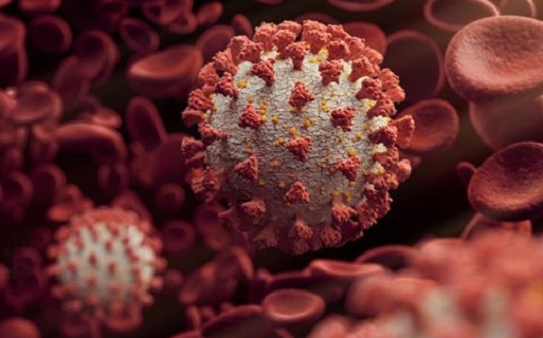 Ông Redfield cho biết, SARS-CoV-2 đã trở thành một trong những loại virus dễ lây nhiễm nhất ở người, điều này cho phép nó có thể đột biến nhanh chóng hơn.