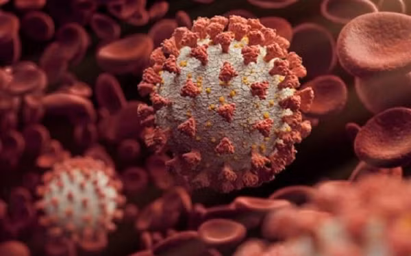 Ông Redfield cho biết, SARS-CoV-2 đã trở thành một trong những loại virus dễ lây nhiễm nhất ở người, điều này cho phép nó có thể đột biến nhanh chóng hơn.