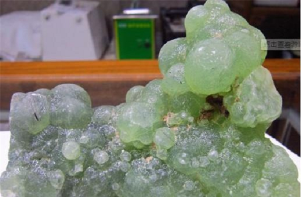 Một viên đá kỳ lạ hình chùm nho đã được cô gái ở Tân Cương tìm thấy trong lúc đi hái hoa. Đặc biệt, nó có màu xanh ngọc bích vô cùng đẹp mắt nên cô đã đem nó về nhà để nhờ người xem giúp.