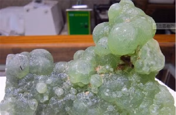 Một viên đá kỳ lạ hình chùm nho đã được cô gái ở Tân Cương tìm thấy trong lúc đi hái hoa. Đặc biệt, nó có màu xanh ngọc bích vô cùng đẹp mắt nên cô đã đem nó về nhà để nhờ người xem giúp.