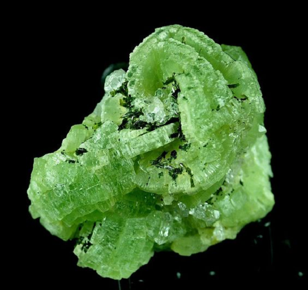 Một doanh nhân sau khi đọc được thông tin này đã trực tiếp đến nhà cô gái để thương lượng giá cả. Cuối cùng, "chùm nho" của cô gái từ Tân Cương đã được bán lại với mức giá là 190.000 NDT (hơn 650 triệu VND).