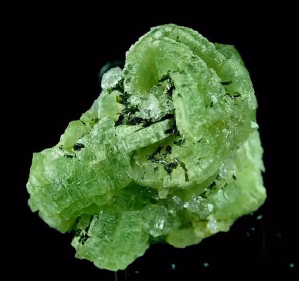 Một doanh nhân sau khi đọc được thông tin này đã trực tiếp đến nhà cô gái để thương lượng giá cả. Cuối cùng, "chùm nho" của cô gái từ Tân Cương đã được bán lại với mức giá là 190.000 NDT (hơn 650 triệu VND).