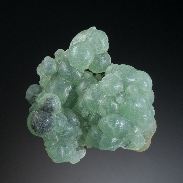 Đá Prehnite được cho là có thể giúp chủ nhân cải thiện và tăng cường được hệ miễn dịch, tuần hoàn máu của cơ thể. Loại đá này cũng có khả năng làm sạch không khí nên nó tốt cho phổi, hệ hô hấp.