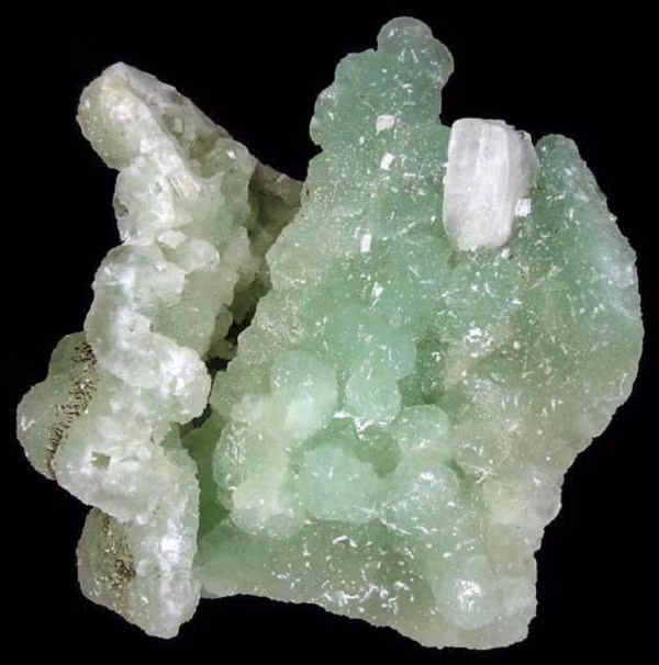 Các chuyên gia của trung tâm đã thẩm định và thông báo với cô rằng, viên đá mà cô nhặt được là đá Prehnite. Nó còn có hình dạng đặc biệt nên được định giá khá cao.