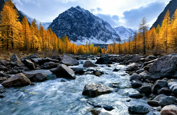 Nhóm nghiên cứu điều tra tác động của đợt nắng nóng năm 2020 bằng cách so sánh sự phân bố của nồng độ khí metan trong không khí trên khắp miền bắc Siberia.