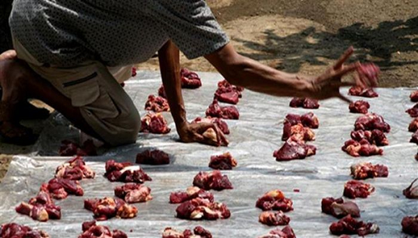 Vào khoảng 11h, bà Crouch đang ngồi trên hiên nhà bỗng nhiên có một vật kỳ lạ rơi xuống từ trên trời, tiếp theo là những tiếng thình thịch khác, rồi nhiều vật ướt văng tung tóe xung quanh.