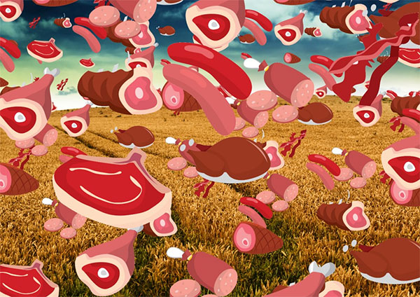  Cơn mưa thịt kỳ quái này gây bối rối cho bà Crouch, bởi lúc đó trời trong, nắng đẹp và không có mây. Nhìn lên bầu trời, bà thấy không nơi nào có thể chứa và tuôn xuống đống thịt này.