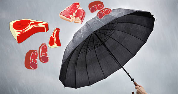 Những người tò mò khác khi nghe tin đã tìm đến trang trại của bà Crouch để “mục sở thị” cơn mưa thịt kỳ lạ này, hai người trong số này đã nếm thử loại thịt lạ trên và kết luận nó là thịt cừu hoặc thịt nai.