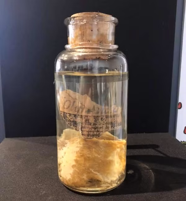 Bên cạnh đó, nhiều người cho rằng thịt bị nôn ra bởi một đàn kền kền bay ngang qua. Tuy nhiên để nôn ra số thịt nhiều như vậy phải cần rất nhiều kền kền mà lúc đó không có gì trên bầu trời. Mọi chuyện chìm vào quên lãng và đến nay nó vẫn là một bí ẩn lớn không có lời giải. Mời các bạn xem video: Khung cảnh thiên nhiên tuyệt đẹp tại các quốc gia ít dân nhất thế giới. 