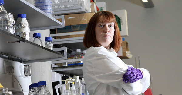 Khi thế giới chật vật chống chọi với khởi đầu của đại dịch, Gilbert đã lao vào nghiên cứu, công việc chiếm trọn các buổi tối và cuối tuần của bà. Tầm nhìn xa của bà đáng ngưỡng mộ, vì vào thời điểm đó, có rất ít dấu hiệu cho thấy mức độ lan rộng nghiêm trọng của virus corona.