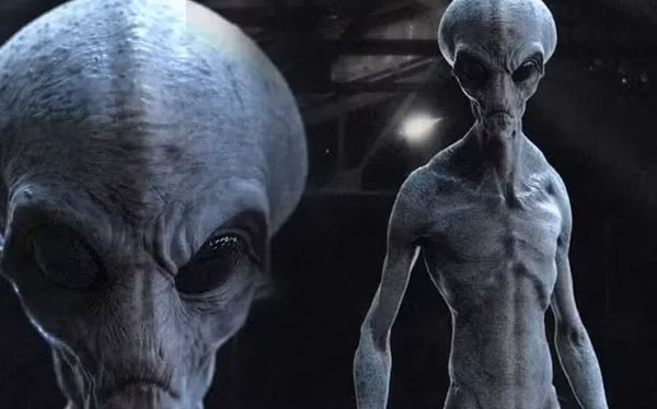 Vào đầu những năm 2000, tình hình trong Bộ Quốc phòng đã thay đổi. Cuối năm 2003, Tổng thống đã ký sắc lệnh giải thể đơn vị bí mật.