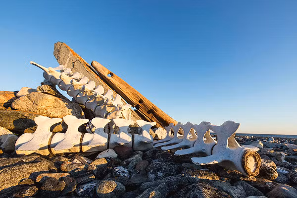 Điều kiện sống trên những con tàu rất khủng khiếp, với các dịch bệnh có thể lây lan dễ dàng và tỷ lệ tử vong cao. Các nhà nghiên cứu cũng tìm thấy hài cốt của các tù nhân Pháp, bị giam giữ trong các cuộc chiến tranh thời Napoléon, ở Chatham gần đó.