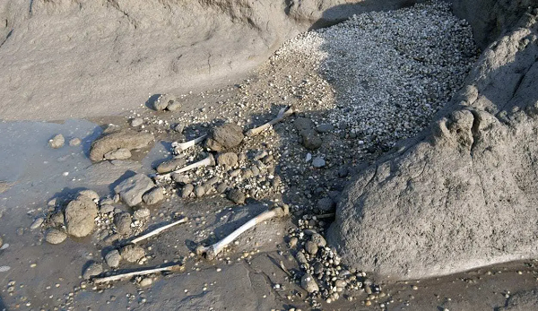 Quan tài, đầu lâu và các mảnh xương xuất hiện khi thủy triều xuống ở hòn đảo đầy ám ảnh. Quá khứ "nhức nhối" của hòn đảo này đã được nhóm điều tra ghi lại trong chương trình Inside Out South East của BBC.