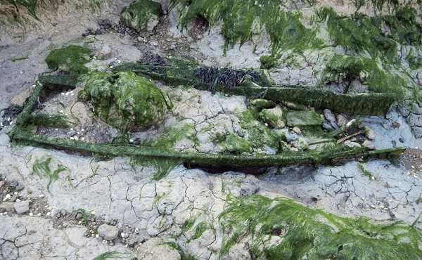 Các thi thể chất đống, nhà tù nổi neo đậu ở sông Medway và Thames vào thế kỷ 18 và 19. Nhiều người trong số những tên tội phạm phải chờ án tử hình, nhưng nếu xét theo tiêu chuẩn ngày nay, thì đó chỉ là những tên trộm vặt.