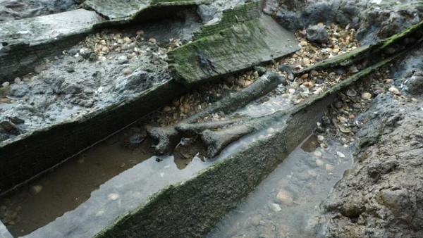 Một trong những người dẫn chương trình của BBC cũng cho biết thêm: “Những gì tôi thấy ở đó sẽ ám ảnh tâm trí tôi mãi mãi. Đây là một cảnh tượng thực sự kỳ lạ và đáng sợ. Tôi không thể tưởng tượng rằng trên trái đất lại có một nơi như vậy".