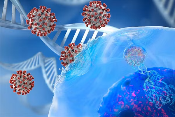 Ngoài ra, việc thoát khỏi hệ miễn dịch cũng là thách thức với virus gây bệnh COVID-19. Hệ miễn dịch của con người, từng được kích hoạt qua việc tiêm vắc xin hay mắc bệnh, sẽ trở nên mạnh mẽ hơn và chống lại các virus gây bệnh hiệu quả hơn so với những gì các nghiên cứu chỉ ra.