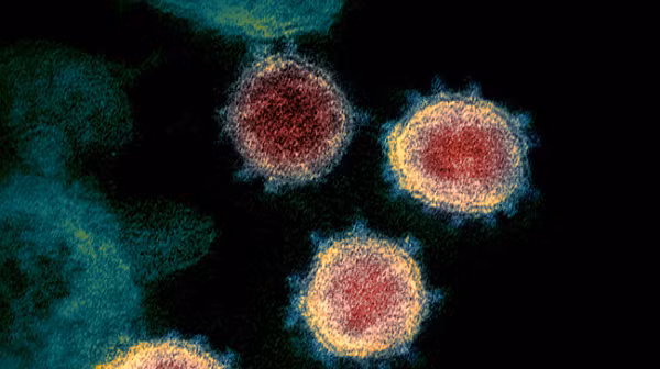 Chúng ta chưa giải quyết được vấn đề của biến chủng Delta, nhưng một biến chủng mới của virus SARS-CoV-2 lại xuất hiện khiến các nhà khoa học phải phát đi cảnh báo.