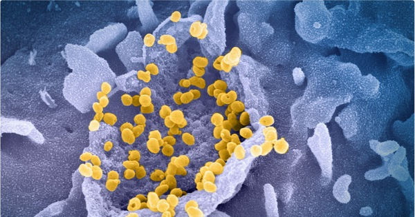 Tuy nhiên, những tính toán ban đầu đã đi sai hướng. Biến thể Delta đã trở nên nguy hiểm hơn theo nhiều cách. Thời gian ủ bệnh của nó chỉ kéo dài 4 ngày thay vì 6 ngày, khiến cho mọi người dễ bị lây nhiễm hơn.