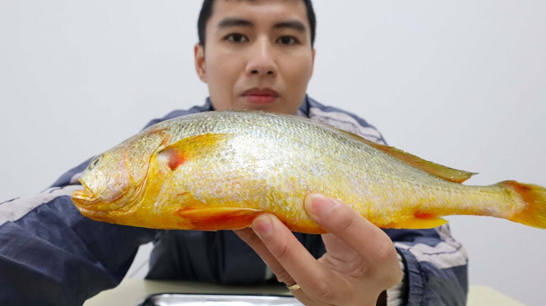 Thứ đắt nhất để tạo nên giá trị tiền tỷ của con cá sủ vàng không nằm ở thịt, vẩy vàng mà nằm ở bong bóng của cá. Bởi bóng cá sủ vàng phơi khô được cho là có giá trị dinh dưỡng ngang với nhân sâm.