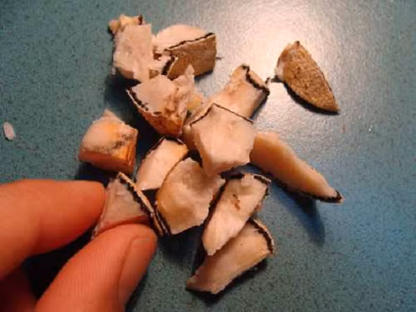 Tuy nhiên, về tác dụng chữa bệnh ung thư như đồn thổi thì các chuyên gia cho hay cần phải có thời gian nghiên cứu, tìm hiểu thêm.