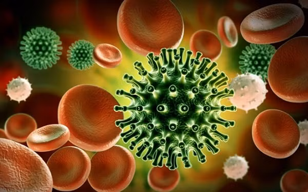  Biến thể Delta của virus SARS-CoV-2 đang gây lo ngại cho nỗ lực chống dịch của cả thế giới. Theo báo cáo mới đây, Delta dễ lây truyền từ người sang người nhanh hơn virus gây Ebola hoặc cảm cúm.