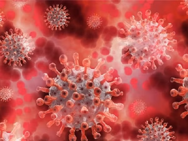 Tuy nhiên mới đây, các nhà khoa học từ viện Max Planck về Hóa lý sinh học (MPI) và Trung tâm Y tế Đại học (UMG) ở Göttingen (Đức), một loại kháng thể siêu nhỏ (nanobodies) có khả năng ngăn chặn hiệu quả virus SARS-CoV-2 và những biến chủng nguy hiểm của chúng.