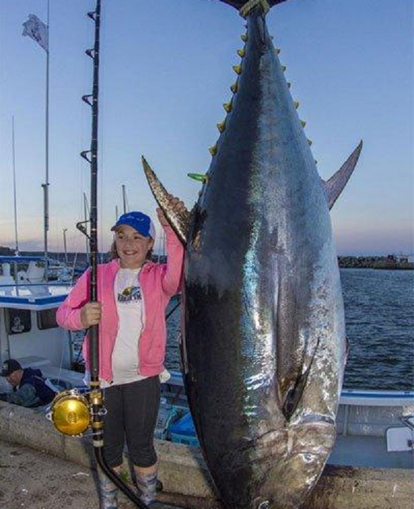 Cá ngừ vây xanh chính là thứ nguyên liệu được các nhà hàng sushi cao cấp nhất sử dụng để làm ra món ăn trứ danh "Kuro Maguro" (cá ngừ vây xanh sống).