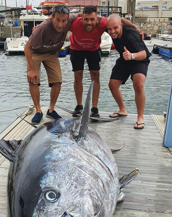 Con cá lớn đến mức không thể nằm gọn trong chiếc thuyền dài 5m của họ và có thể là kỷ lục trong giới câu cá năm nay. Đây được cho là con lớn nhất từng được đánh bắt gần Gibraltar.