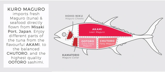 Cá ngừ vây xanh cũng được những người câu cá đánh giá cao vì bản tính sẵn sàng chiến đấu, tốc độ phóng trong nước lên tới 70km/h với đuôi có hình trăng lưỡi liềm mạnh mẽ.