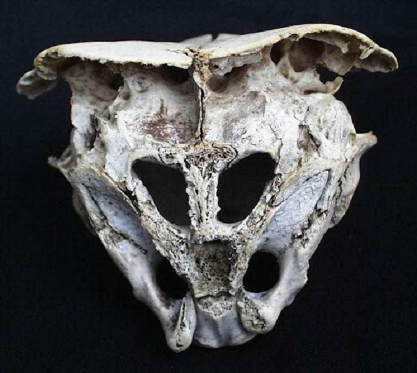 Phát hiện của ông đã tạo ra nhiều sự tranh cãi và nhiều người tin rằng, đây là bằng chứng về sự tồn tại của người ngoài hành tinh cũng như sự hiện diện của họ trên hành tinh của chúng ta.