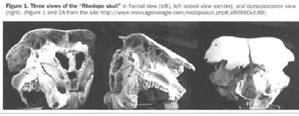 Một giả thuyết khác cho rằng rất có thể đây là hộp sọ của một người ngoài hành tinh được chôn cất vội vàng, nó bị giết bởi những người lính hoạt động trong khu vực trong Thế chiến thứ hai.
