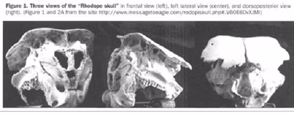 Một giả thuyết khác cho rằng rất có thể đây là hộp sọ của một người ngoài hành tinh được chôn cất vội vàng, nó bị giết bởi những người lính hoạt động trong khu vực trong Thế chiến thứ hai.
