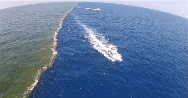 Dòng đối lưu kinh tuyến Đại Tây Dương (AMOC) có tác động lớn đến nhiệt độ đại dương. Nó là tập hợp các dòng chảy xuyên suốt từ Đại Tây Dương và được ví như mạch máu của biển cả.