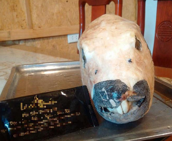 Độc trong cá mặt thỏ thường tập trung ở trứng, gan, mật. Chính vì thế khi chế biến món ăn nếu để chất độc này dính vào thì người ăn dễ bị ngộ độc.