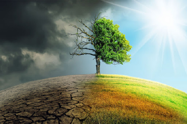 Dù chỉ mới là sự khởi đầu của hậu quả Trái đất nóng lên, nhưng từ đầu năm đến nay chúng ta đã phải chứng kiến nhiều hiện tượng thời tiết cực đoan từ khắp nơi trên thế giới.