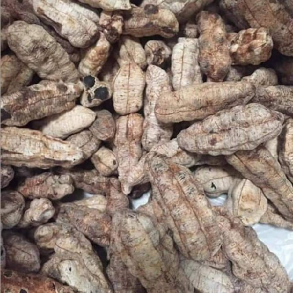 Hạt chuối cô đơn phơi khô rồi đưa lên bếp sao vàng, sau đó cho vào bình ngâm với rượu gạo, uống sau mỗi bữa ăn để trị các chứng đau lưng, nhức mỏi xương khớp rất hiệu nghiệm. Chuối cô đơn ngâm với rượu ủ lâu có màu vàng hổ phách, hương vị thơm mạnh rất đặc trưng.