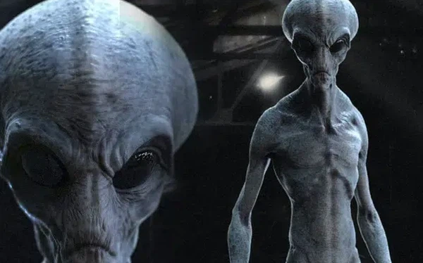 Vào đầu những năm 2000, tình hình trong Bộ Quốc phòng đã thay đổi. Cuối năm 2003, Tổng thống đã ký sắc lệnh giải thể đơn vị bí mật.