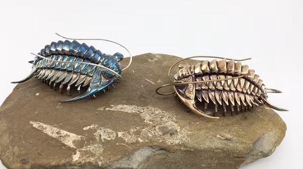 Thông thường loài eodiscoid trilobites này vẫn được cho là những con vật bơi, sống theo những trụ dưới nước, và cũng có thể sống dưới dáy biển. Chính từ điều này mà giáo sư Conway Morris cho rằng có một hệ sinh thái phức tạp ở Kaili vào giữa kỷ Cambrian.