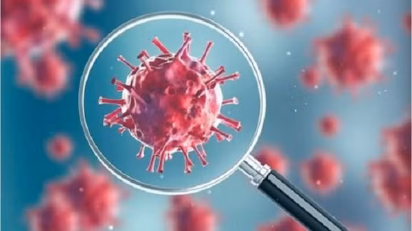 Trung tâm Phòng ngừa và Kiểm soát Dịch bệnh Châu Âu đã liệt kê nó là một biến thể được quan tâm. Y tế Công cộng Anh mô tả B.1.621 là một biến thể đang được điều tra.