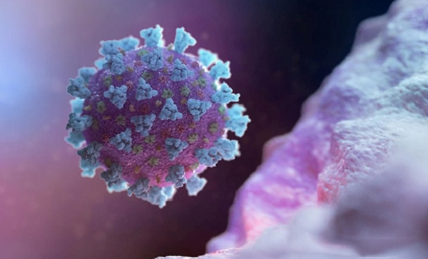 Điểm đáng sợ của biến thể Delta chính là khả năng lây nhiễm. Những người nhiễm biến thể Delta có thể mang tải lượng virus ở mũi nhiều gấp 1.260 lần so với chủng virus ban đầu.