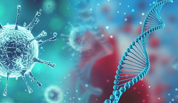 Biến thể tiếp theo mới được ghi nhận của virus SARS-CoV-2 là Lambda. Biến thể Lambda (biến thể C.37) được phát hiện lần đầu tiên vào tháng 8/2020 ở Peru và đang rất được quan tâm theo dõi.