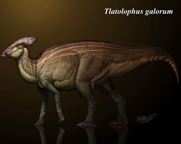 Các nhà cổ sinh vật học cho rằng, loài khủng long này "đã tạo ra những âm thanh lớn để dọa các động vật ăn thịt tránh xa mình, hoặc để gọi bạn tình phục vụ nhu cầu sinh sản".