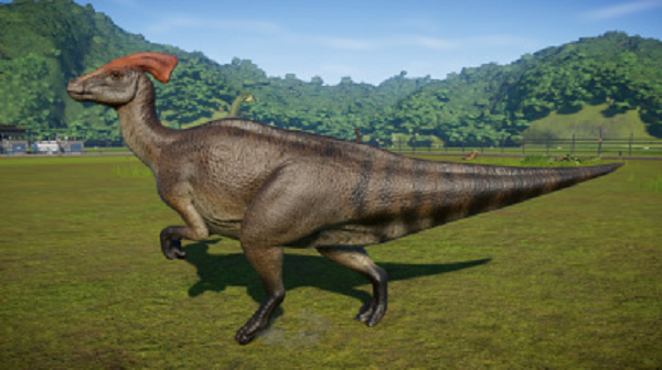 Chúng sử dụng âm thanh tần số thấp như voi để giao tiếp với nhau. Âm thanh này có thể vang xa tới vài km nhưng con người không có khả năng nhận biết.